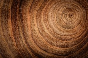 Engaging our world with Re-generative design