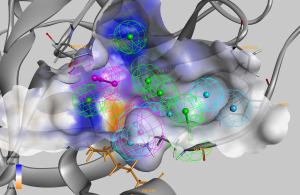 Pharmacophore-guided Virtual Screening for Drug Repurposing