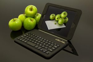Not All Digital Twins are Created Equal