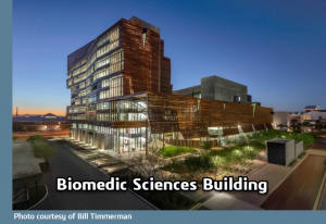 Pioneer New Paths In Architectural Design