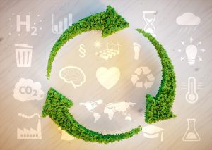 Can circular supply chains help solve our global waste problem?