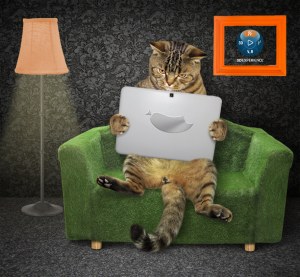 Get the Latest ENOVIA News Right Meow!