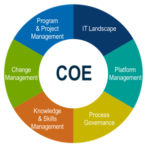 center of excellence chart