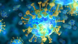 Modeling and Simulation Proposes New Insights for SARS-CoV-2
