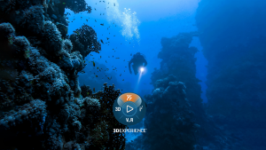 LIVE WEBINAR: Role Deep Dive: Classification Manager