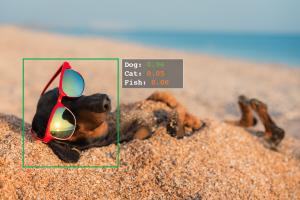 Teaching Computers to “See”