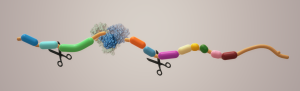 In Silico Drug Repurposing to Inhibit SARS-CoV-2 Protease