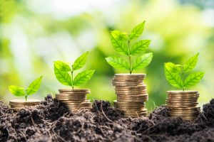 What does the sustainable economy mean for you?     