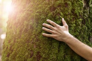 Humans, in harmony with Nature