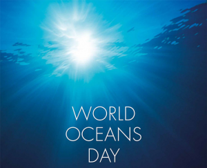 Cleaning up our oceans with simulation