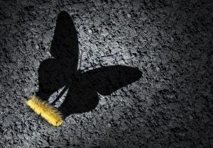 Propel your business into the sustainable economy