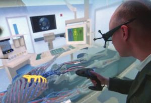 Living Heart: 3D Simulation in Practice