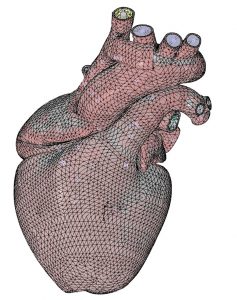CATIA Talk | Living Heart Project Experience