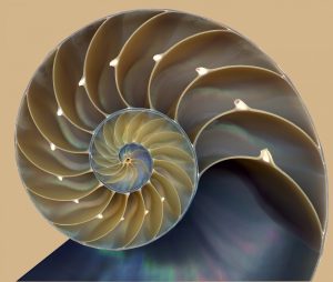 How To Problem Solve and Streamline Workflows with Generative Design