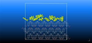 Studying Solvent Effect on Crystal Growth and Morphology – An In Silico Approach