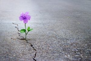 How to Adapt Industrial Planning During and After Disruptive Events