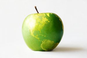 Improving global food supply chain operations with virtual twin technology