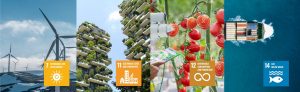 Submit your idea to the Innovate for Sustainability student challenge