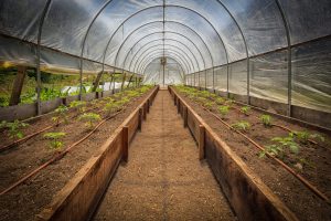 Streamlining Agrochemical R&D to Advance Crop Protection