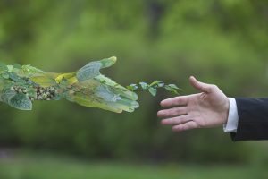 People, Planet and Profits