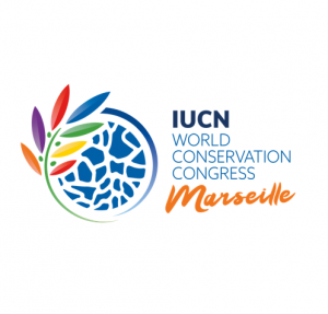 Understanding and preserving nature with virtual universes