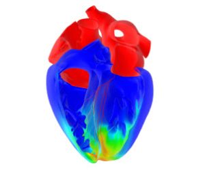 World Heart Day Spotlight: The Living Heart Project Transforming Healthcare