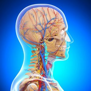 Manufacturing Intelligence – The Central Nervous System of Your Plant
