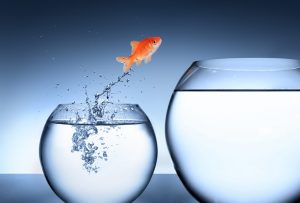 Project Management Data Upgrade/Migration Tip