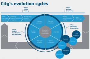 What role do virtual twins play in a city’s evolution cycle?