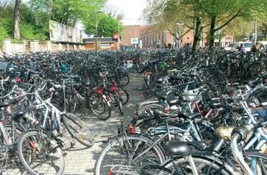 Virtual twins in urban ecosystems