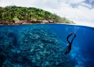 LIVE WEBINAR ~ Role Deep Dive: Component Sourcing & Standardization (XCR/XSP)