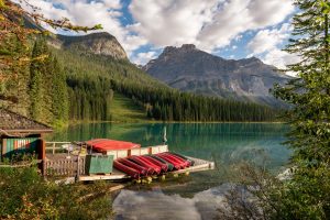 Join ENOVIA Summer Camp!