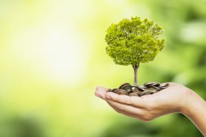 Socially-minded Investors and Energy & Materials