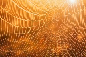 Looking at Relationships within the Product Explorer and Product Editor