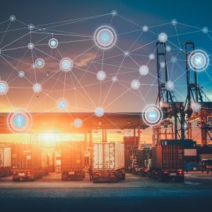 What are supply chains?