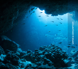 Water for Life: Using virtual universes to protect a natural resource