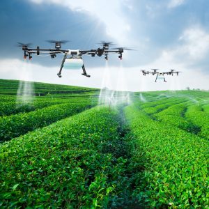 How Digital Technology Will Save the Family Farm