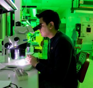 Researchers Race to Adapt Lithium Ion Cells to Meet New Demand