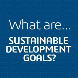 What are the UN Sustainable Development Goals?