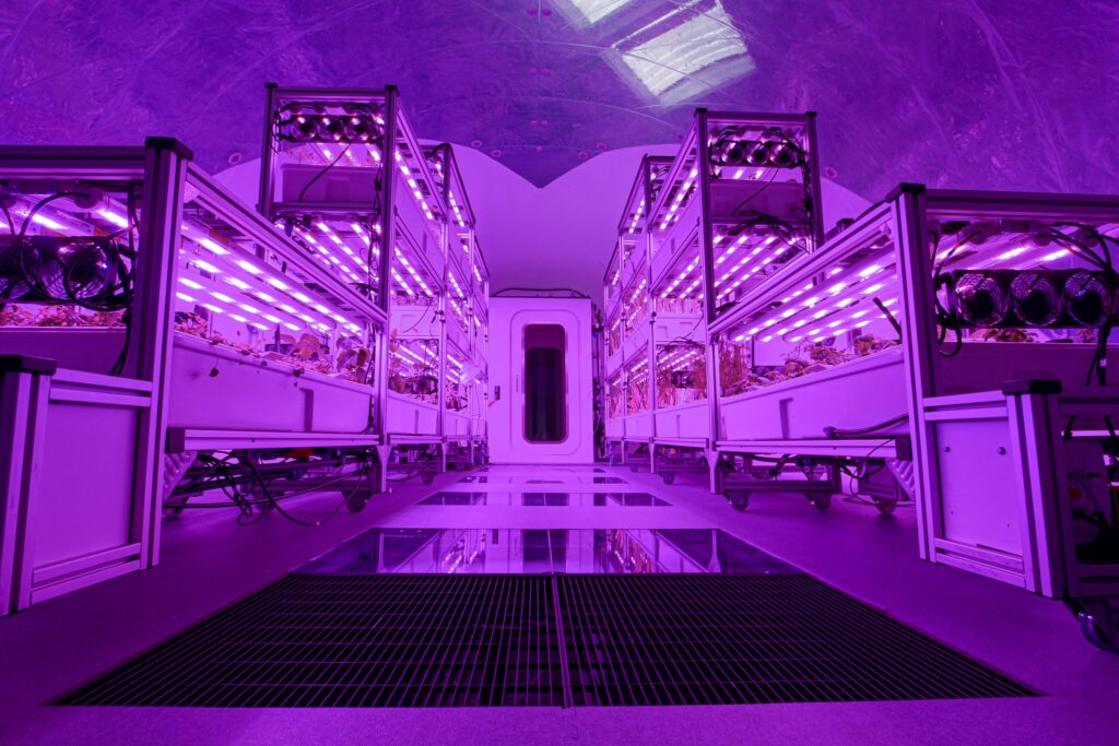 Interstellar's BioPod is a space greenhouse 