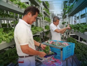 Singapore engineers a future free of urban food insecurity