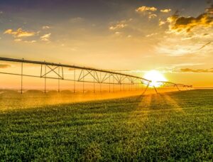 Dassault Systèmes’ Smart Agriculture – Precision Agriculture for Sustainability