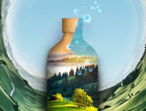 Revolutionizing Packaging: Moving Towards Sustainable Tray Materials Part II