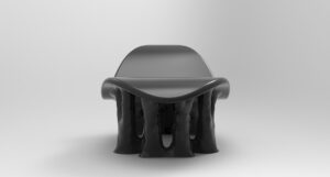 Biomimicry and Simulation