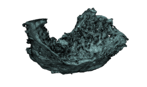 Using Simulation to Understand Avian Nest Design Strategies