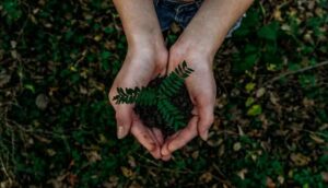 5 steps companies can take to ensure corporate sustainability