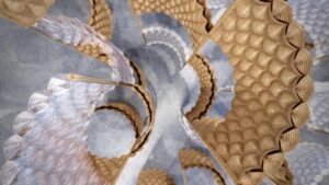 AURORA manifests a new approach to sustainable design