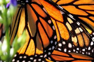 Making nanomaterials more viable