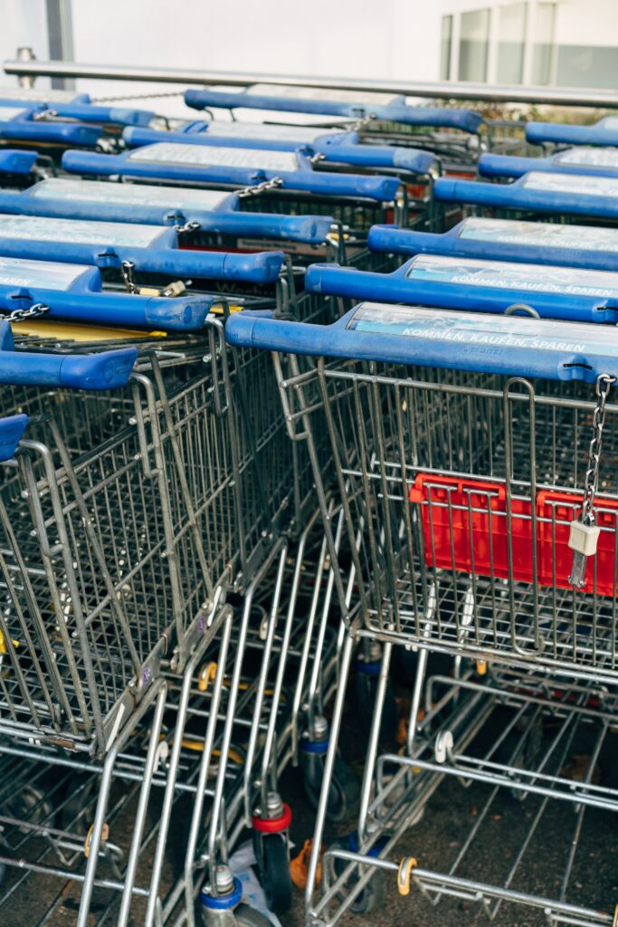 shopping carts - supply chain disruptions - Dassault Systemes 