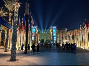 Reflections on COP28: Aligning actions with aspirations